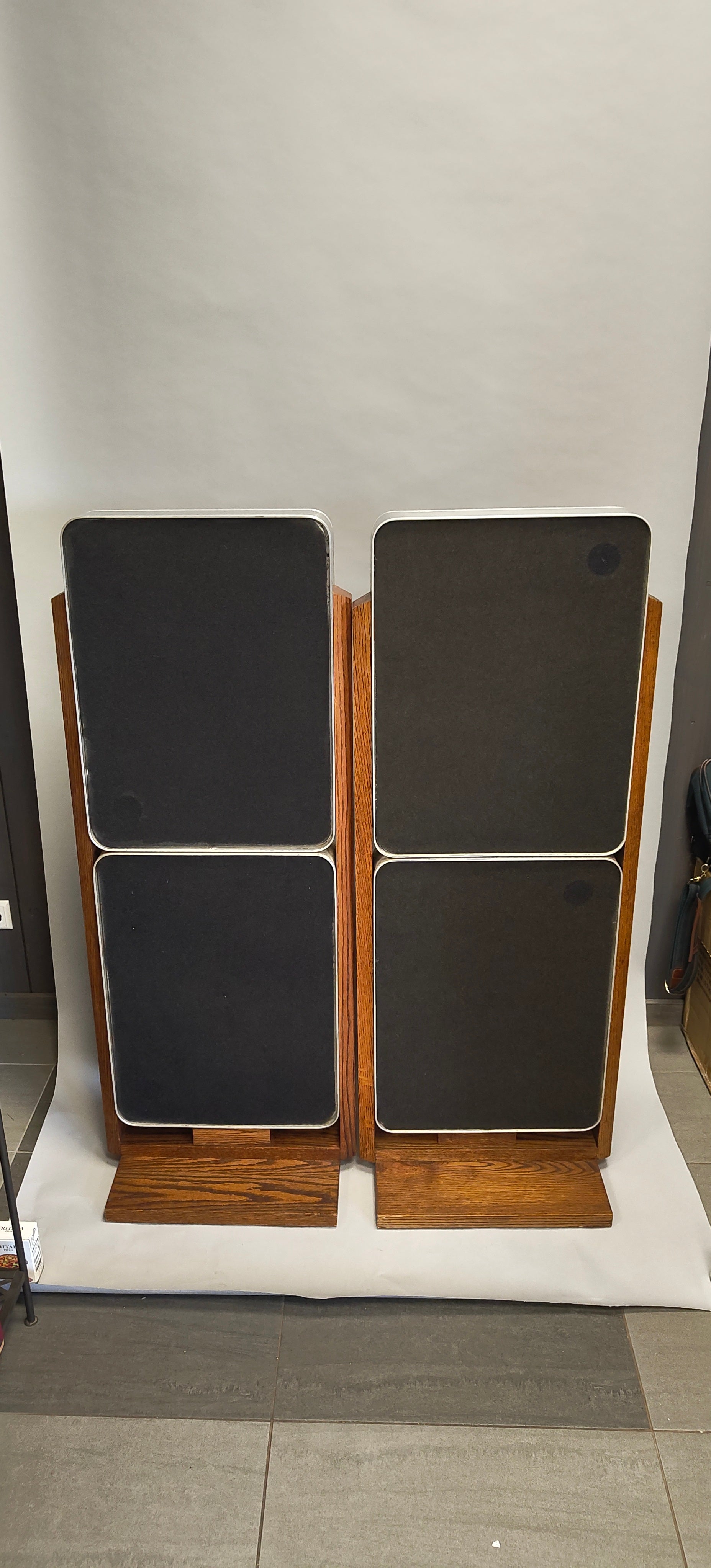 Bertagni Electroacoustic Systems D120 Geostatic Speakers (Pair) 1976