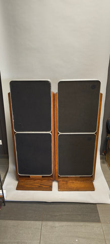 Bertagni Electroacoustic Systems D120 Geostatic Speakers (Pair) 1976