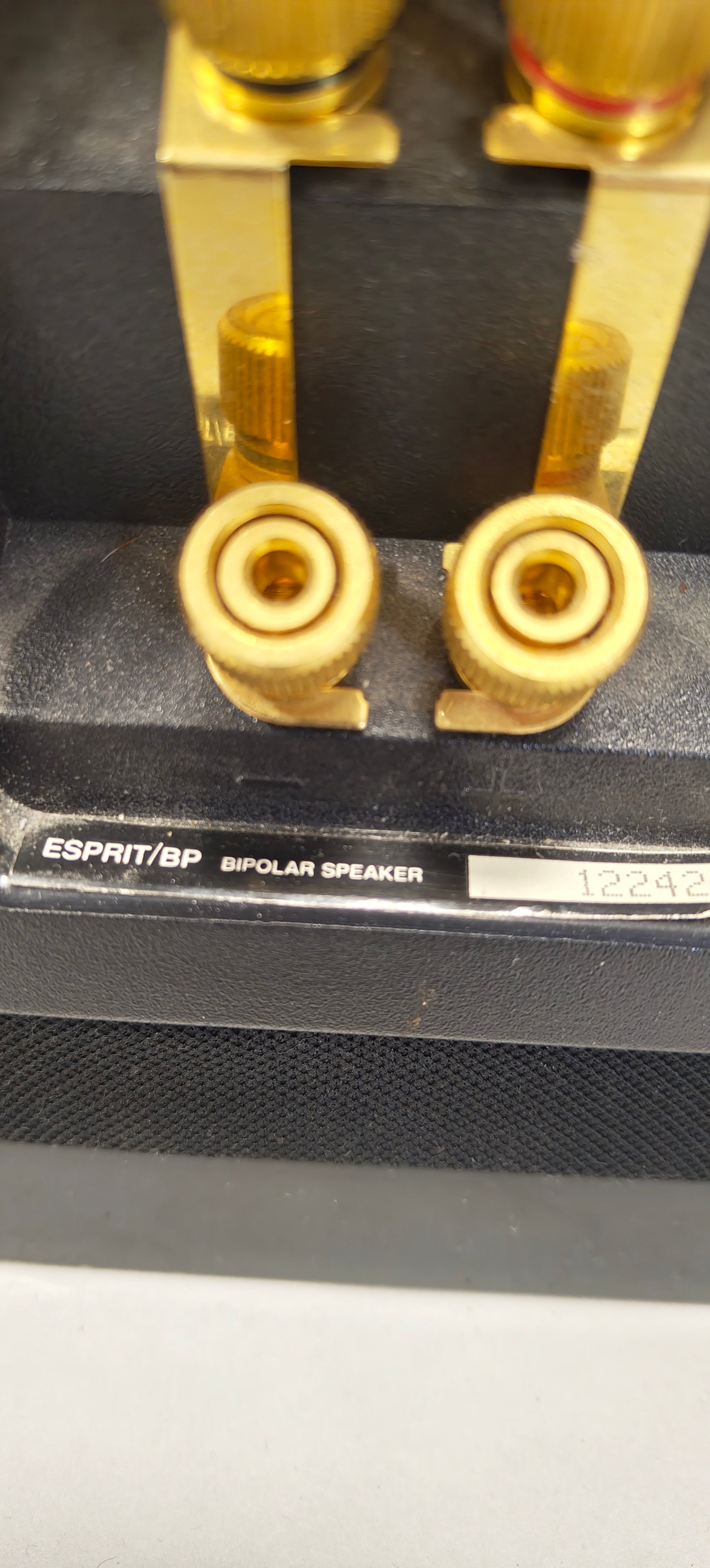 Paradigm Esprit/BP Bipolar Surround Speakers