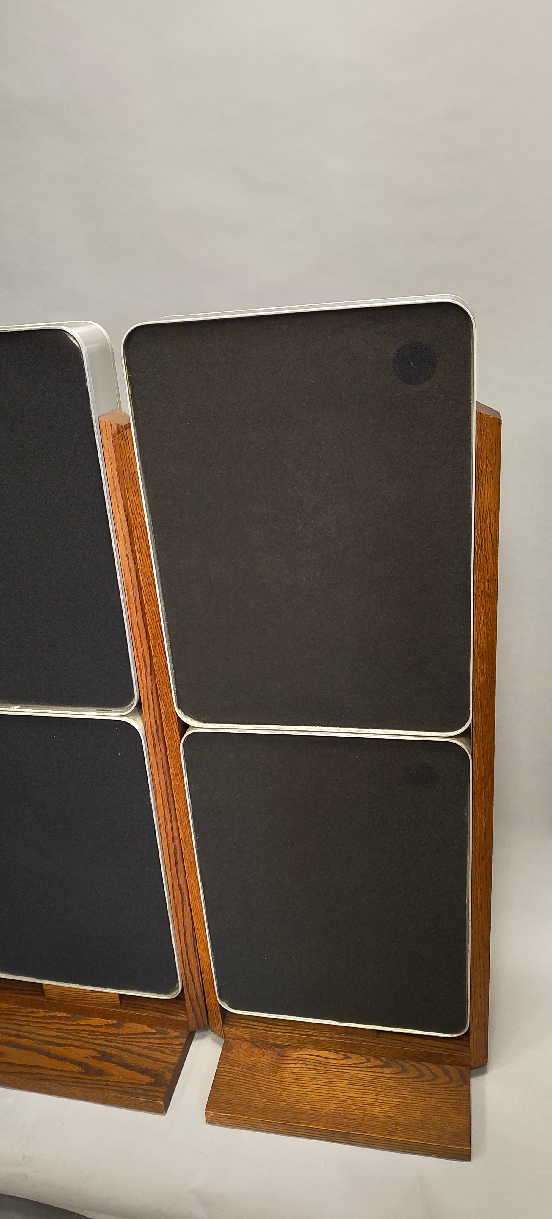 Bertagni Electroacoustic Systems D120 Geostatic Speakers (Pair) 1976