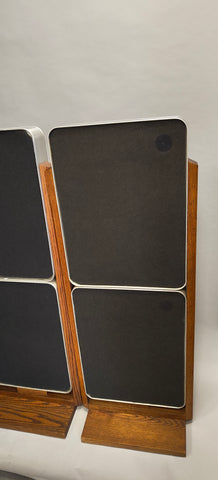 Bertagni Electroacoustic Systems D120 Geostatic Speakers (Pair) 1976